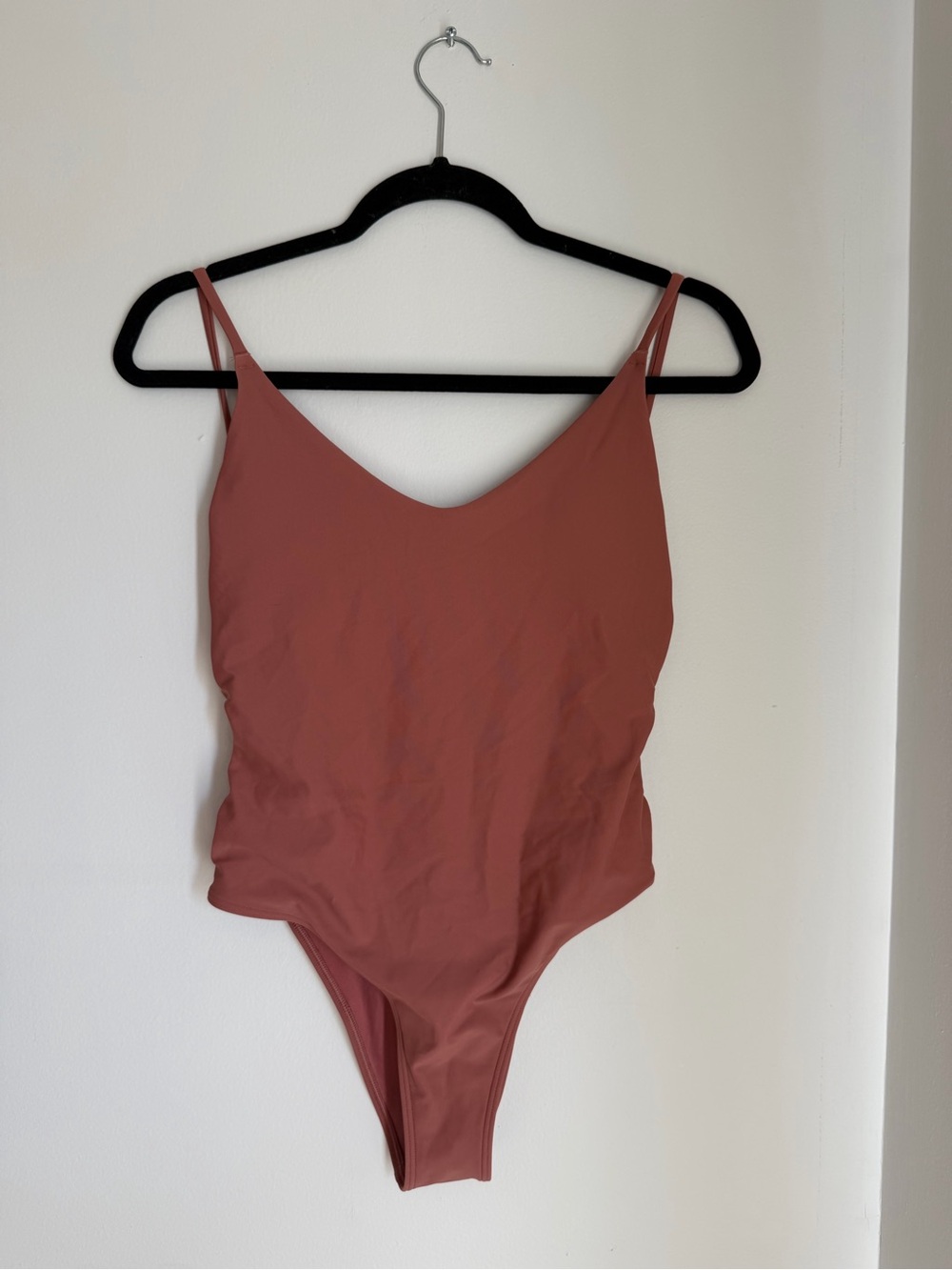 aerie Rose One-Piece Swimsuit